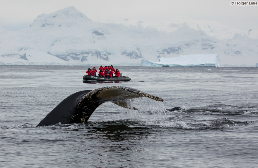 Antarctic_2020_1011_Antarctic Awakening